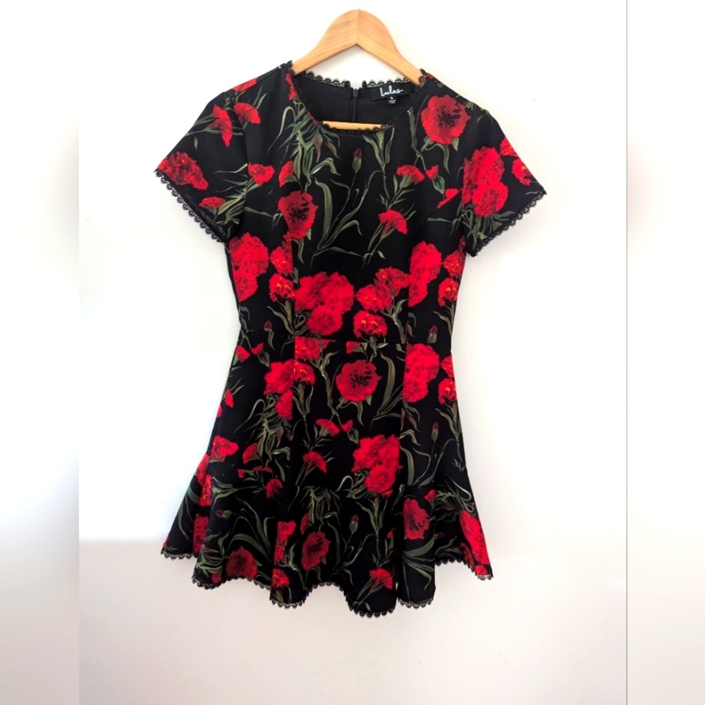 Lulu's Poppy Dress